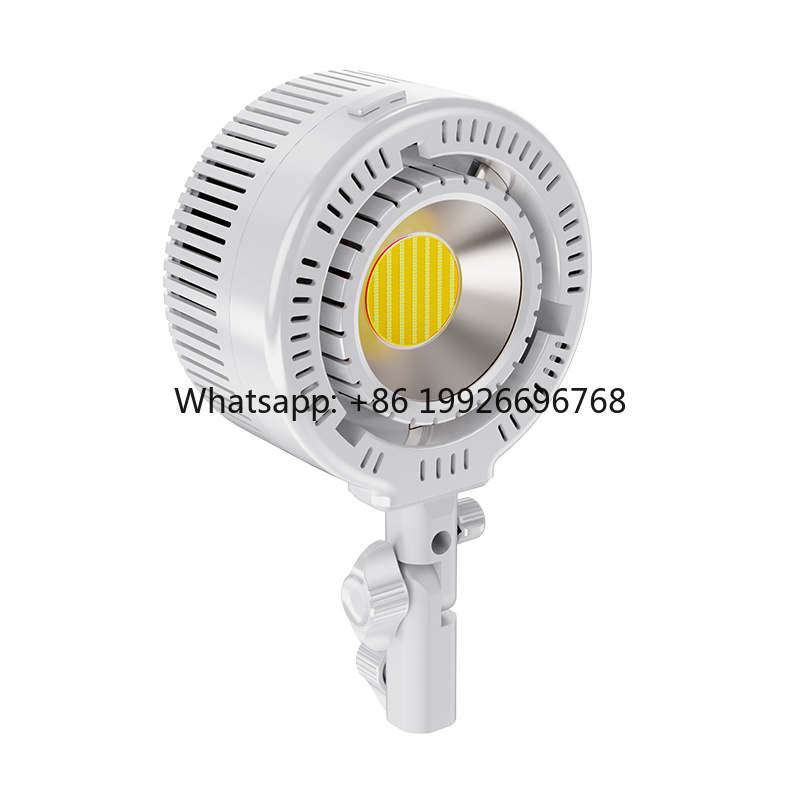 Photography Lighting For Clothing - R200 Zweifarbige COB LED-Lichtperlen Live-Streaming-Aufnahmelicht Konstantes