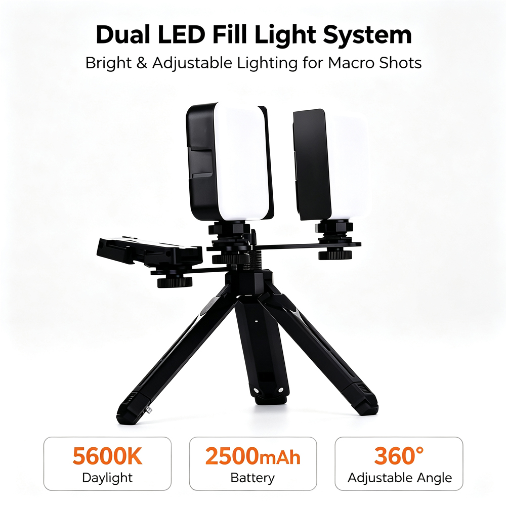 Lodden Bluetooth Zahn füllung  – Photography Lighting Flash Bewertung und Preis