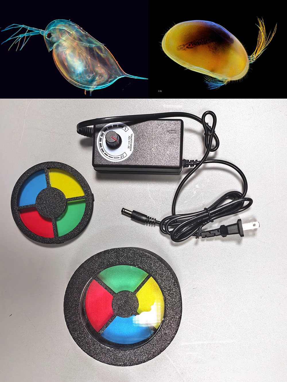 Darkfield-Makroblitz für Mikro – Photography Lighting Diy Bewertung und Preis